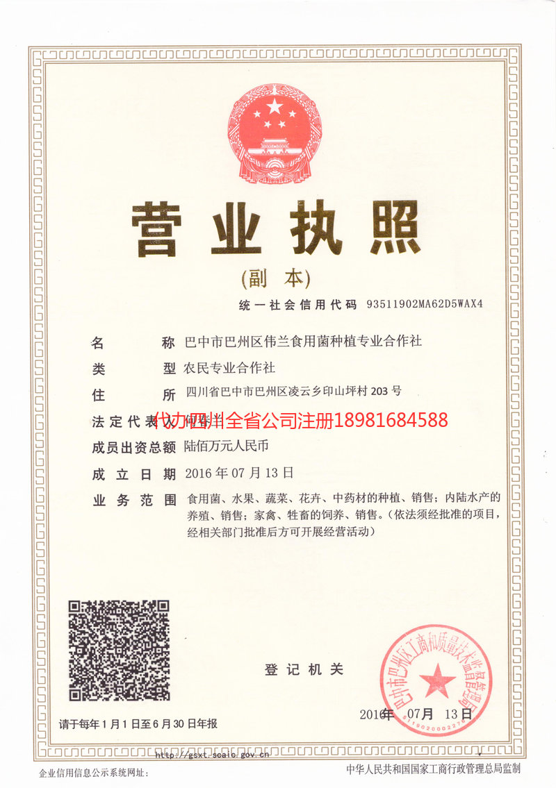 诸城诸城伟兰食用菌种植专业合作社